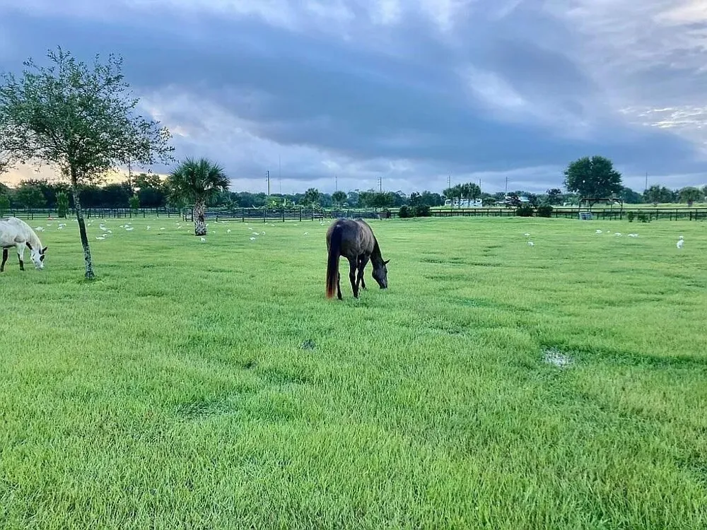 7565 Polo Square Vero Beach, FL 32968