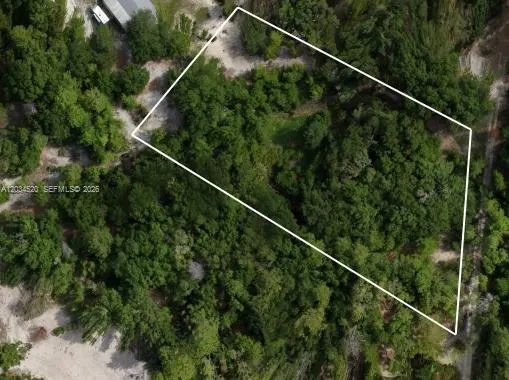 141 STRAWBERRY ST Other City - In The State Of Florida, FL 32181