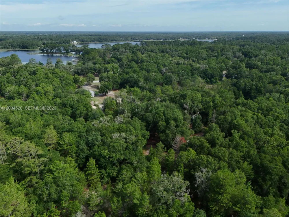 141 STRAWBERRY ST Other City - In The State Of Florida, FL 32181
