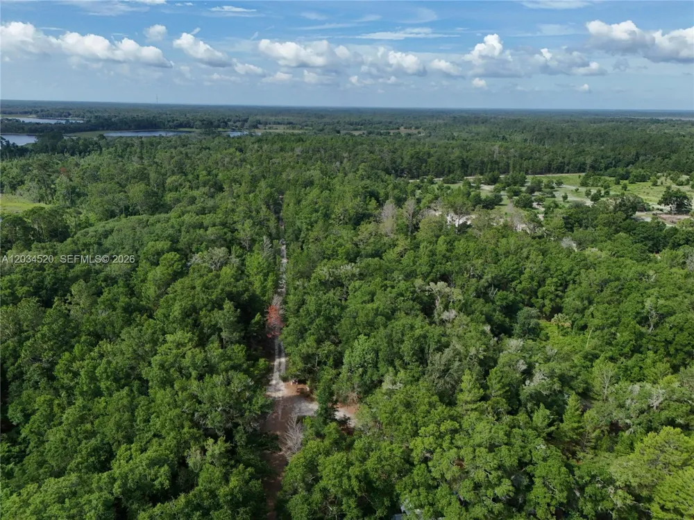 141 STRAWBERRY ST Other City - In The State Of Florida, FL 32181