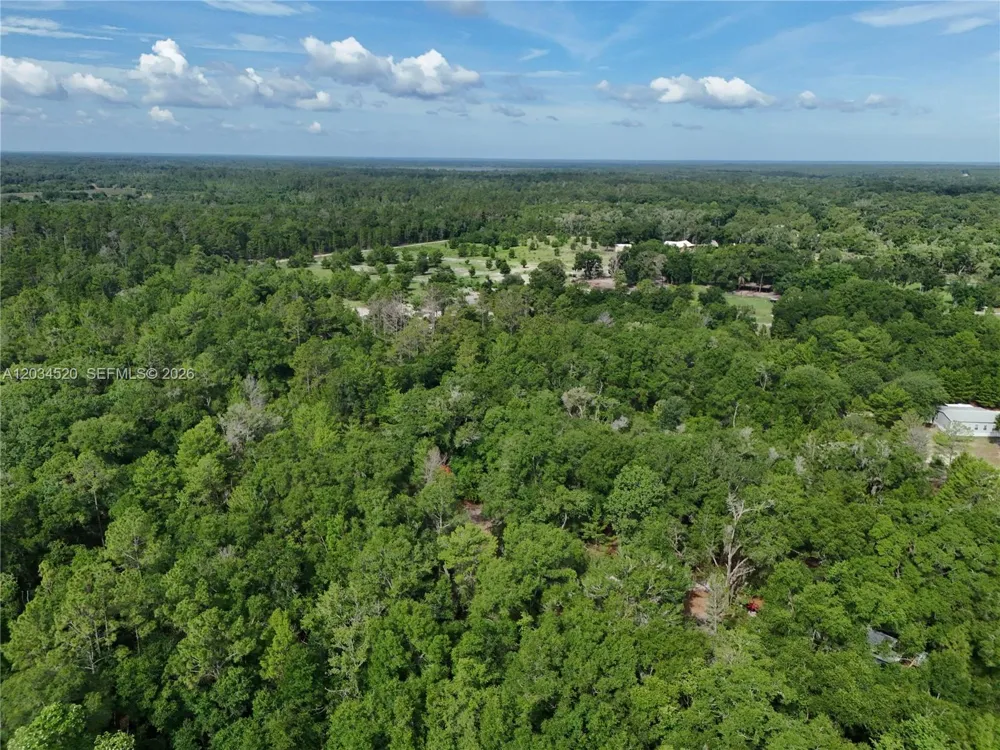 141 STRAWBERRY ST Other City - In The State Of Florida, FL 32181