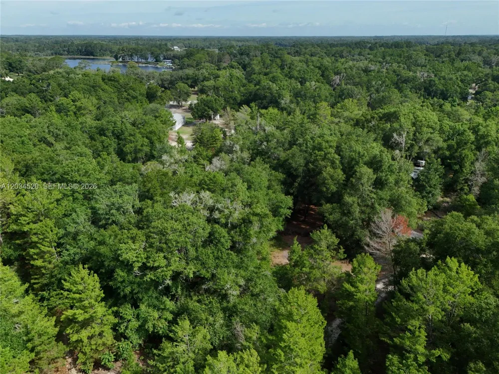 141 STRAWBERRY ST Other City - In The State Of Florida, FL 32181