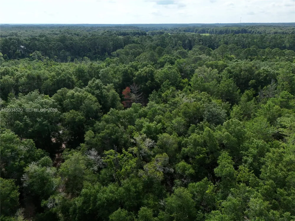 141 STRAWBERRY ST Other City - In The State Of Florida, FL 32181