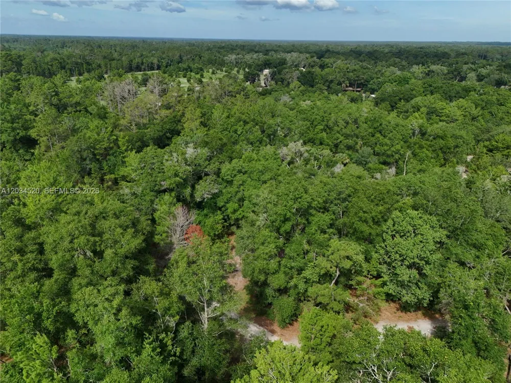 141 STRAWBERRY ST Other City - In The State Of Florida, FL 32181