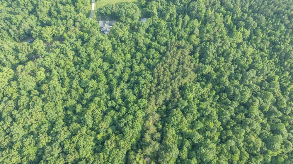 0 Todd Ln Lexington, TN 38351
