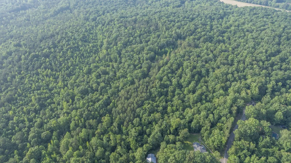 0 Todd Ln Lexington, TN 38351