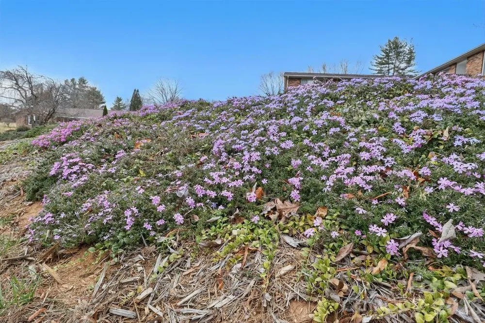 114 Falling Waters Road #2 Hendersonville, NC 28792