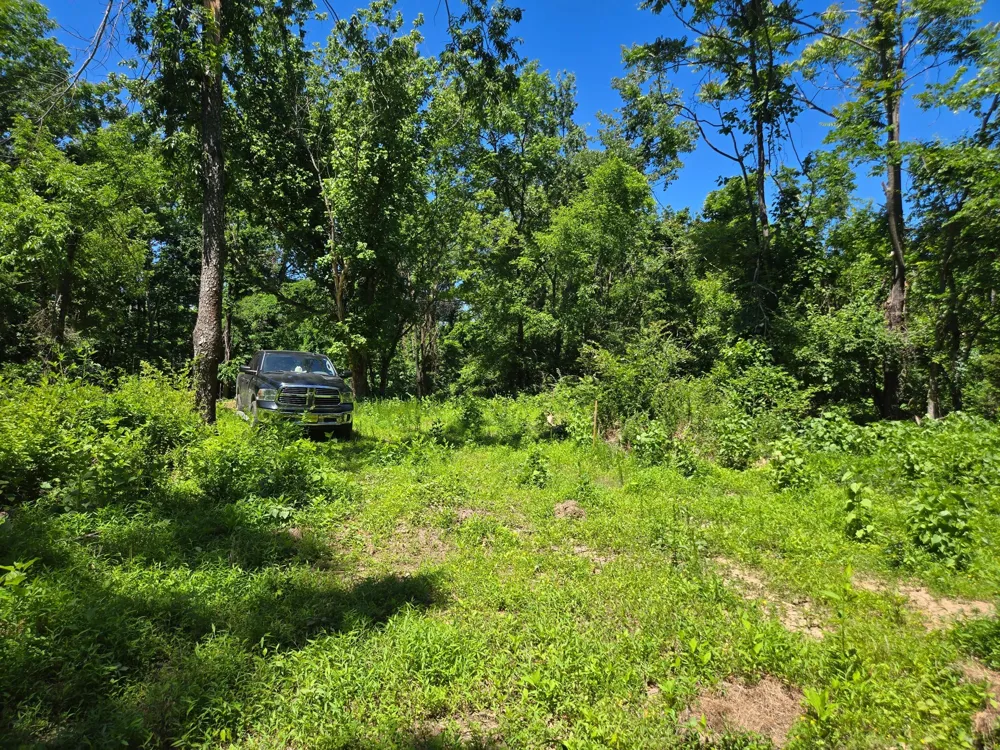 18 Dry Creek Rd Goodlettsville, TN 37072