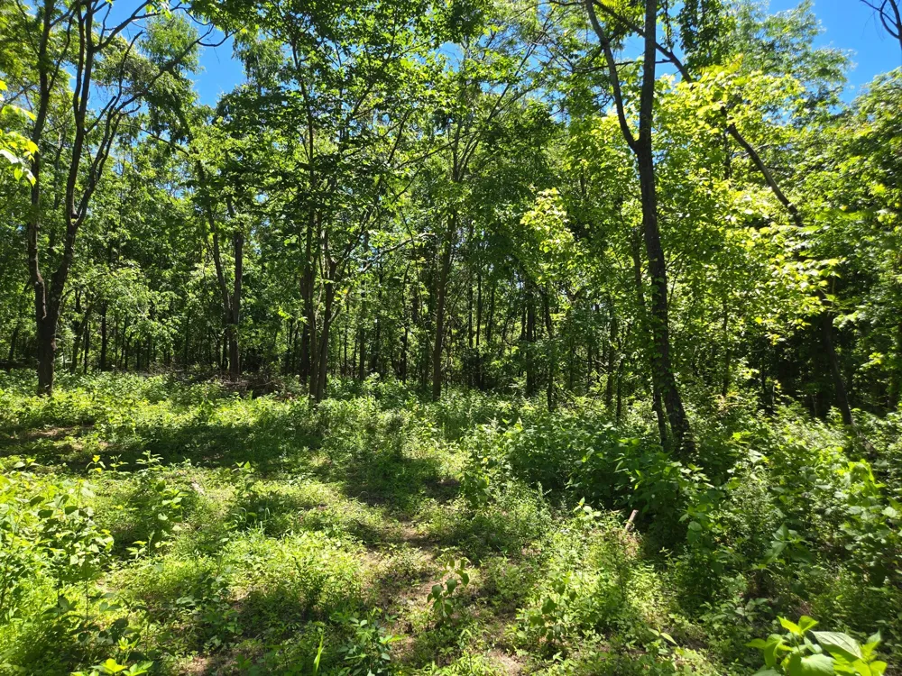 18 Dry Creek Rd Goodlettsville, TN 37072