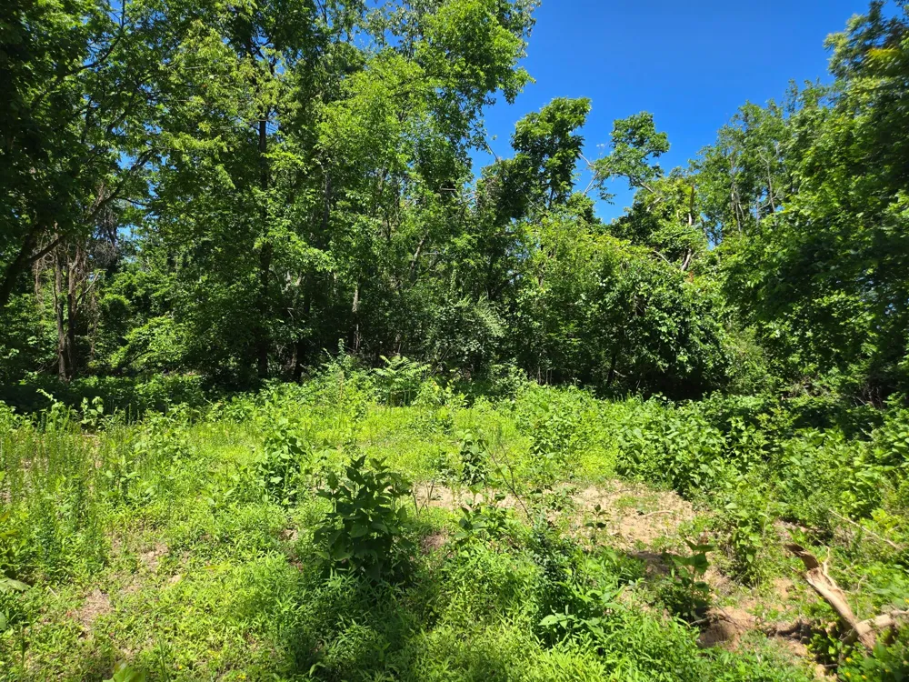 18 Dry Creek Rd Goodlettsville, TN 37072