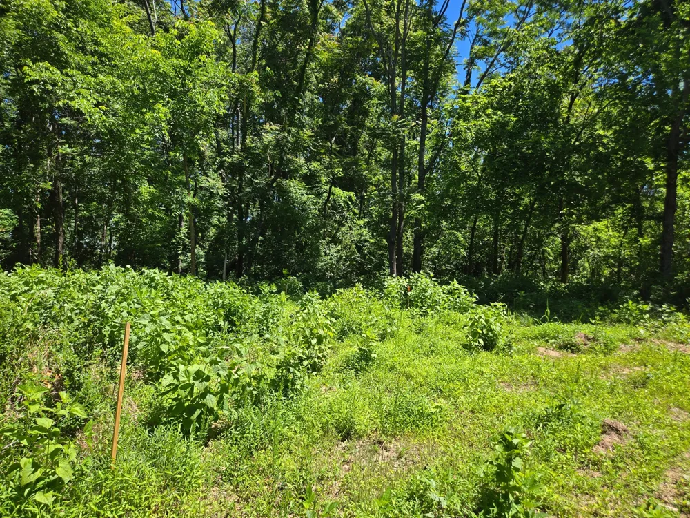 18 Dry Creek Rd Goodlettsville, TN 37072