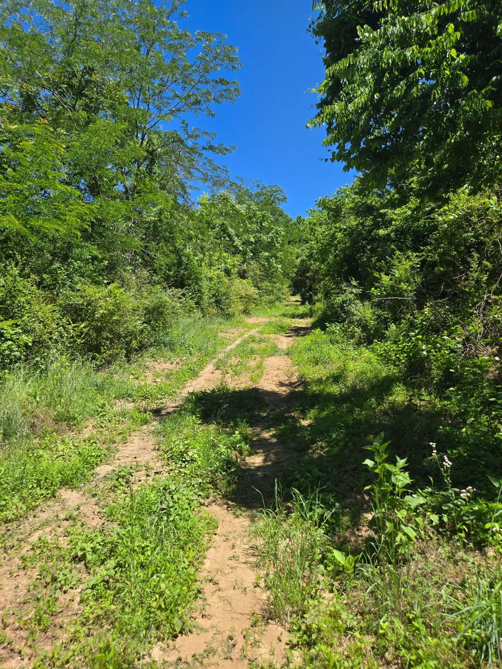 18 Dry Creek Rd Goodlettsville, TN 37072