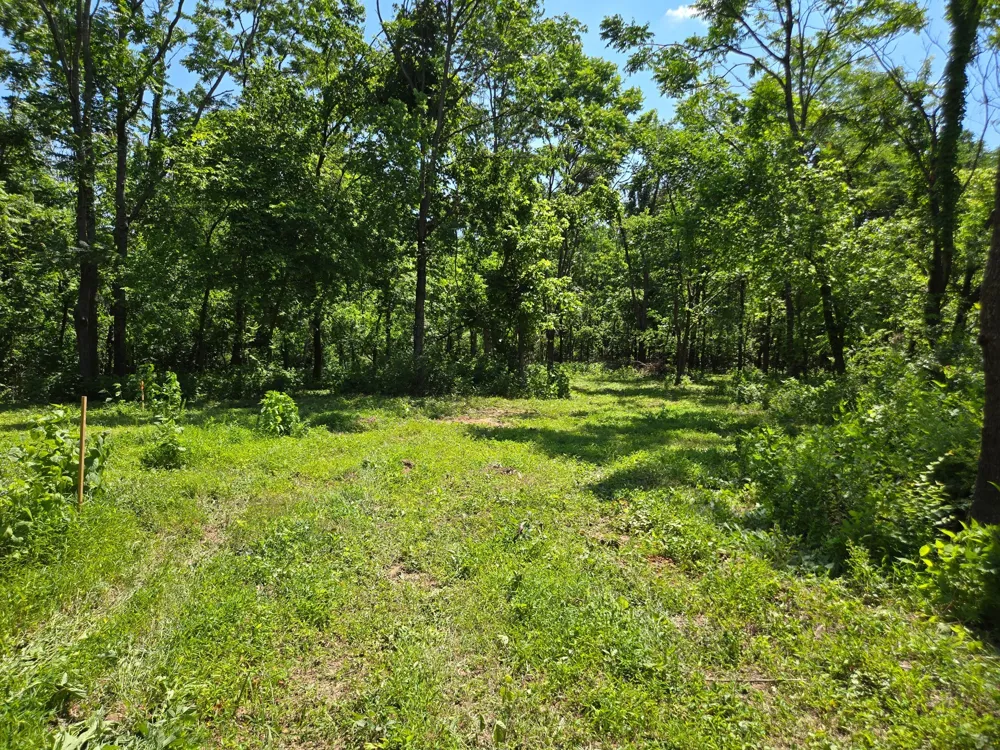 18 Dry Creek Rd Goodlettsville, TN 37072