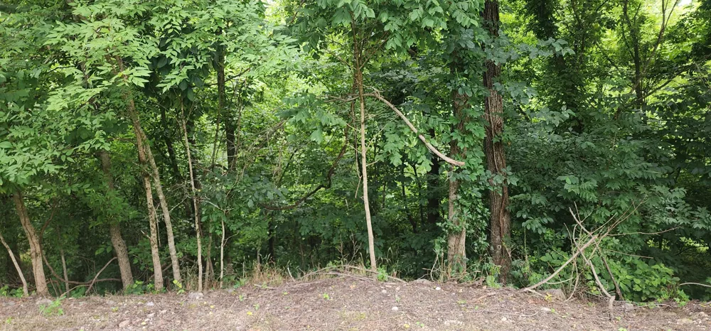 0 Highbridge Dr Smithville, TN 37166