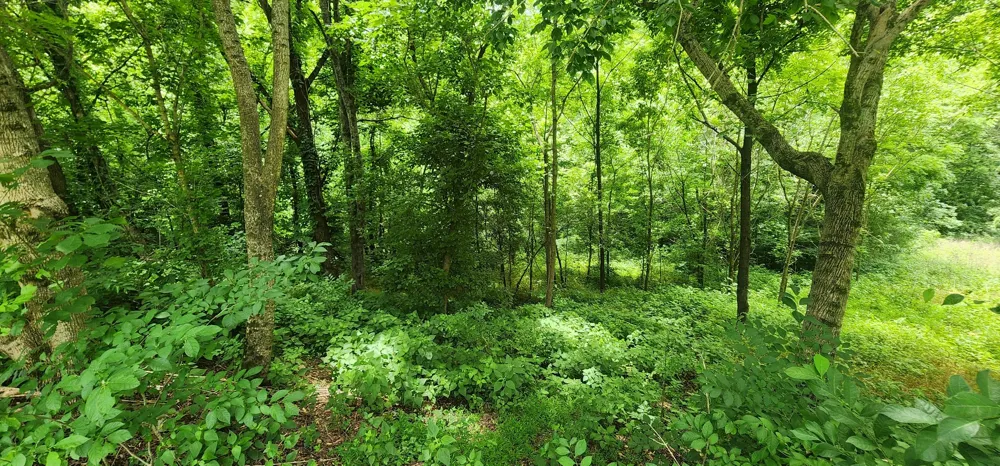 0 Highbridge Dr Smithville, TN 37166