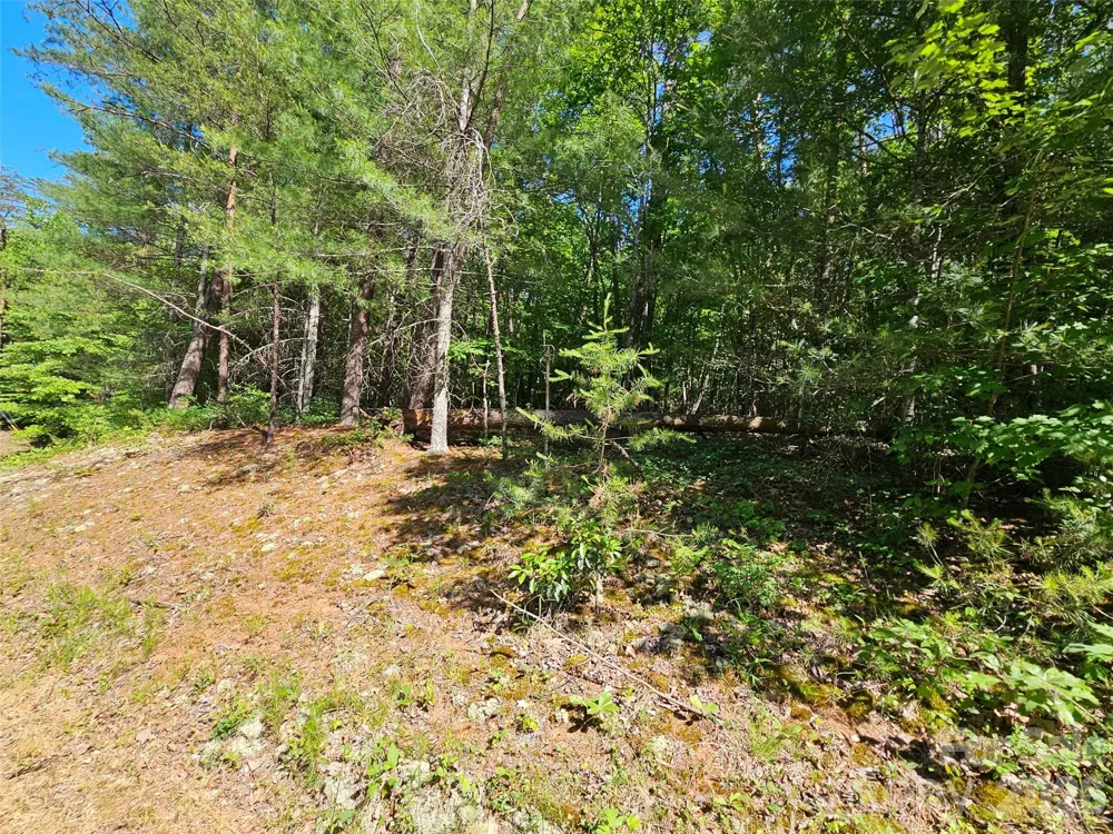 136 Doves Way #136 Lake Lure, NC 28746