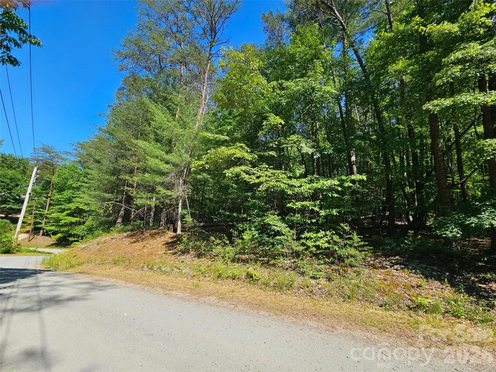 136 Doves Way #136 Lake Lure, NC 28746