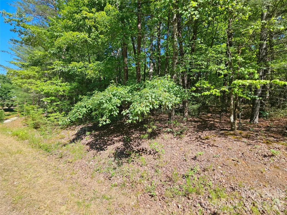136 Doves Way #136 Lake Lure, NC 28746