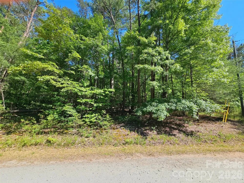 136 Doves Way #136 Lake Lure, NC 28746