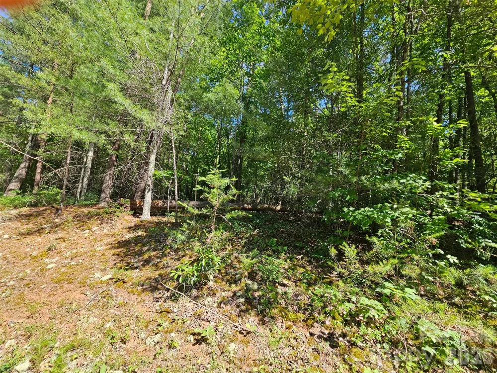 136 Doves Way #136 Lake Lure, NC 28746