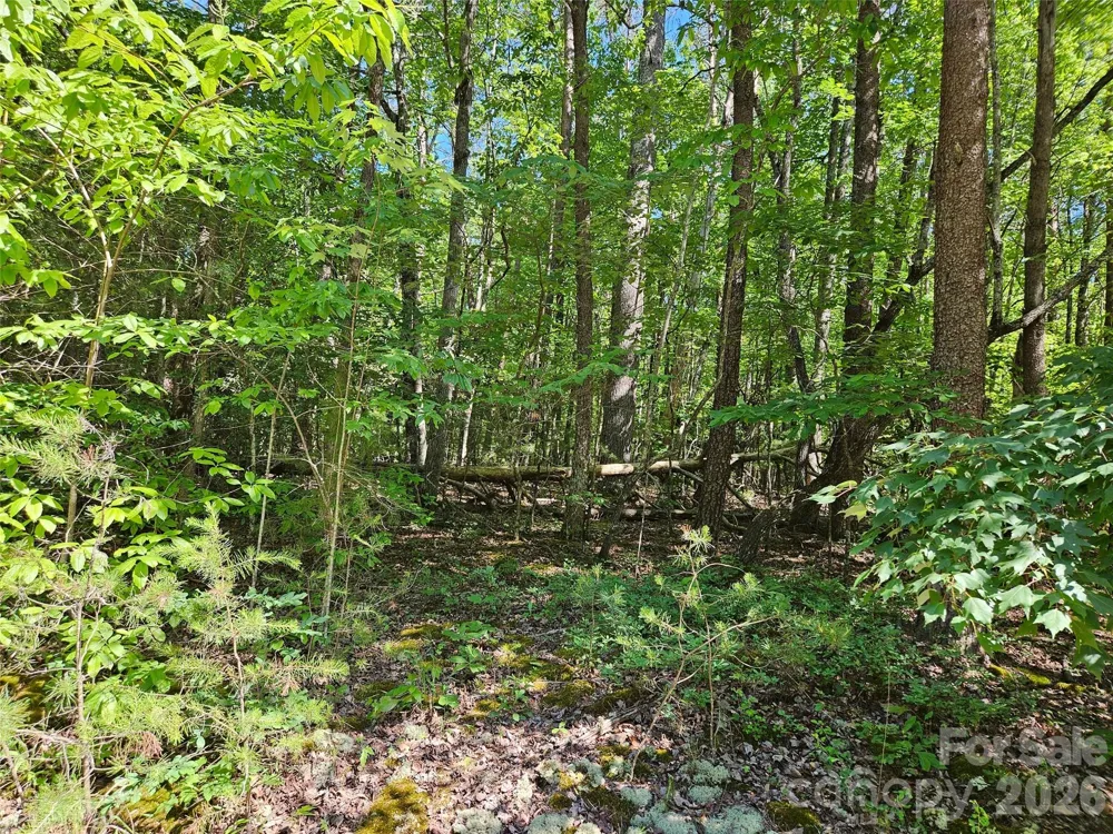 136 Doves Way #136 Lake Lure, NC 28746