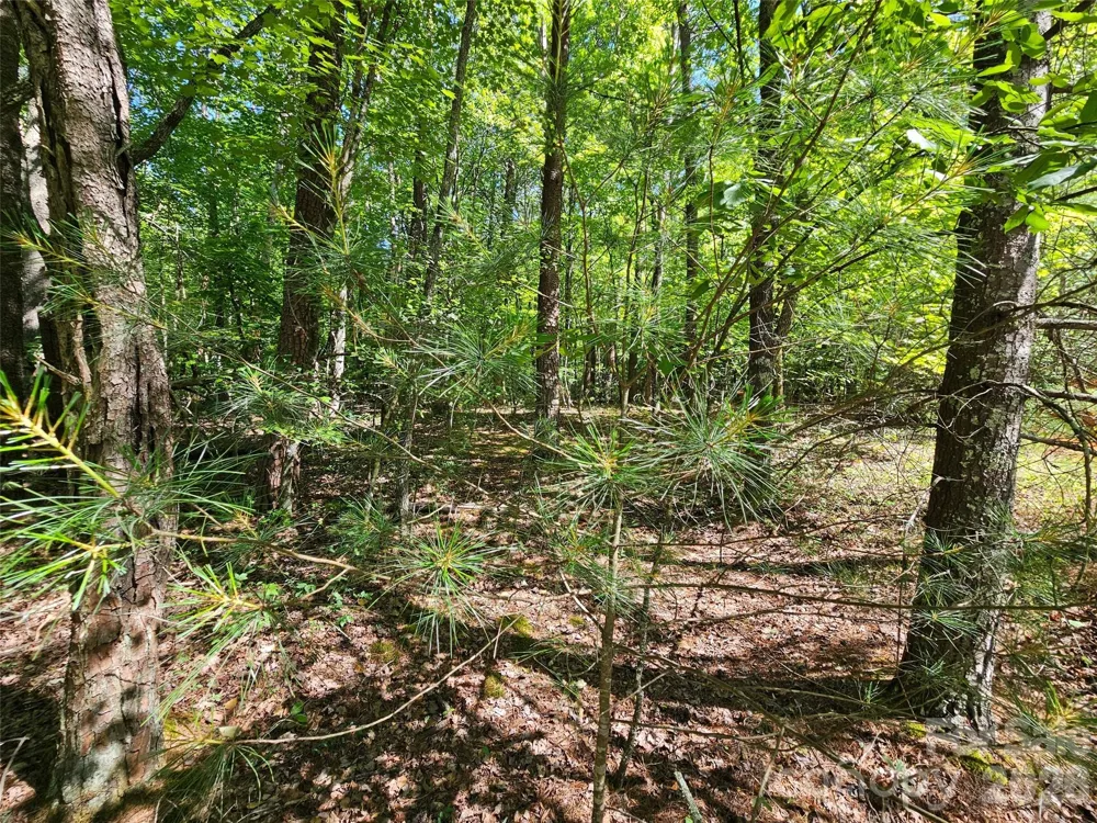 136 Doves Way #136 Lake Lure, NC 28746