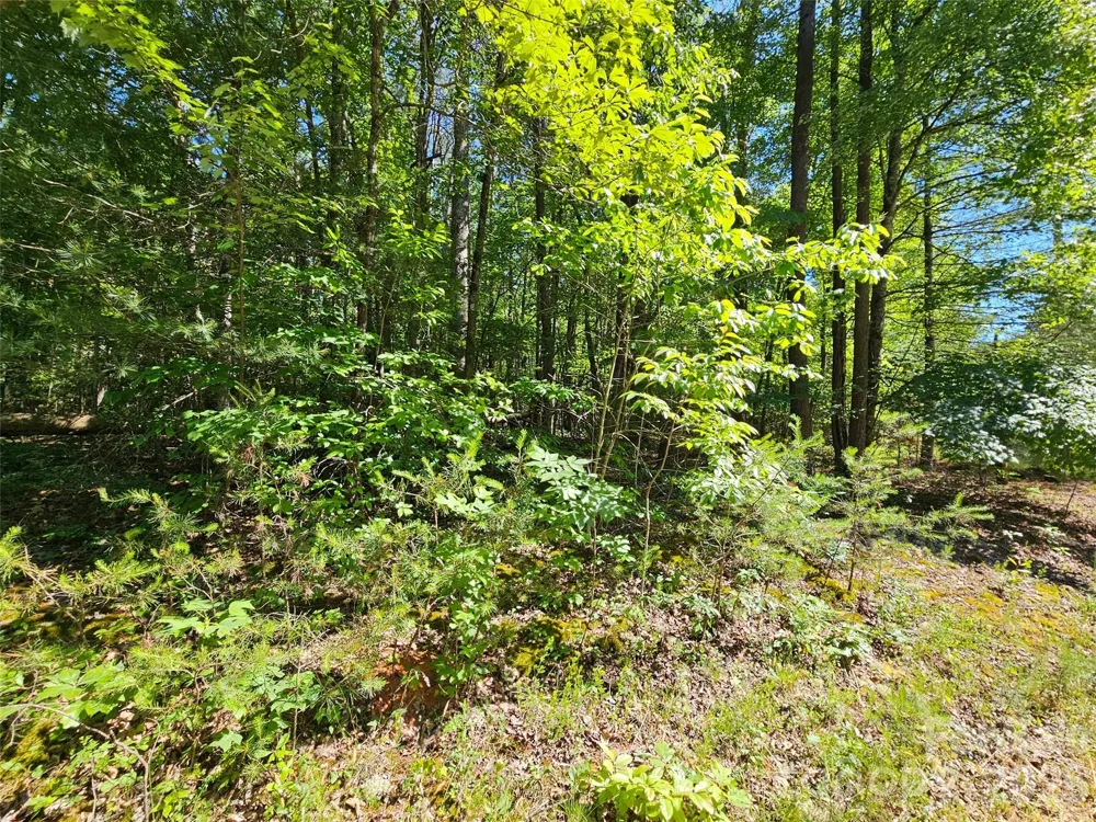 136 Doves Way #136 Lake Lure, NC 28746