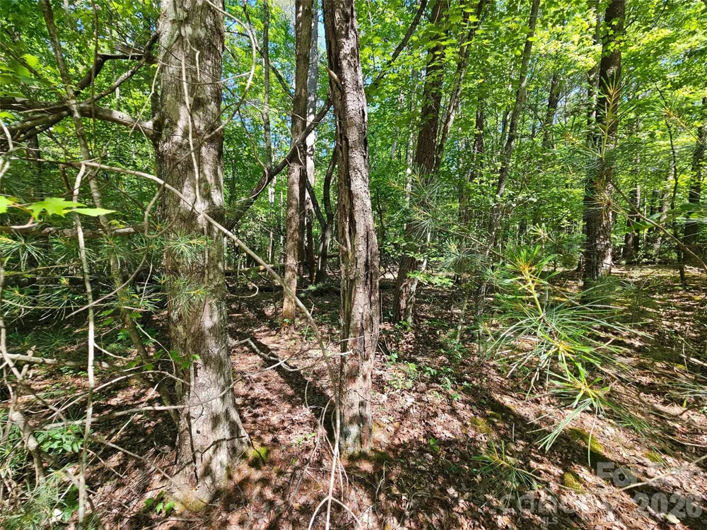 136 Doves Way #136 Lake Lure, NC 28746