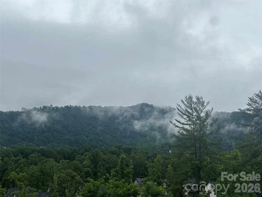 115 Water Leaf Drive Weaverville, NC 28787