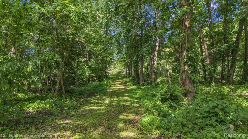 76107 Van Dyke Road Bruce Township, MI 48065