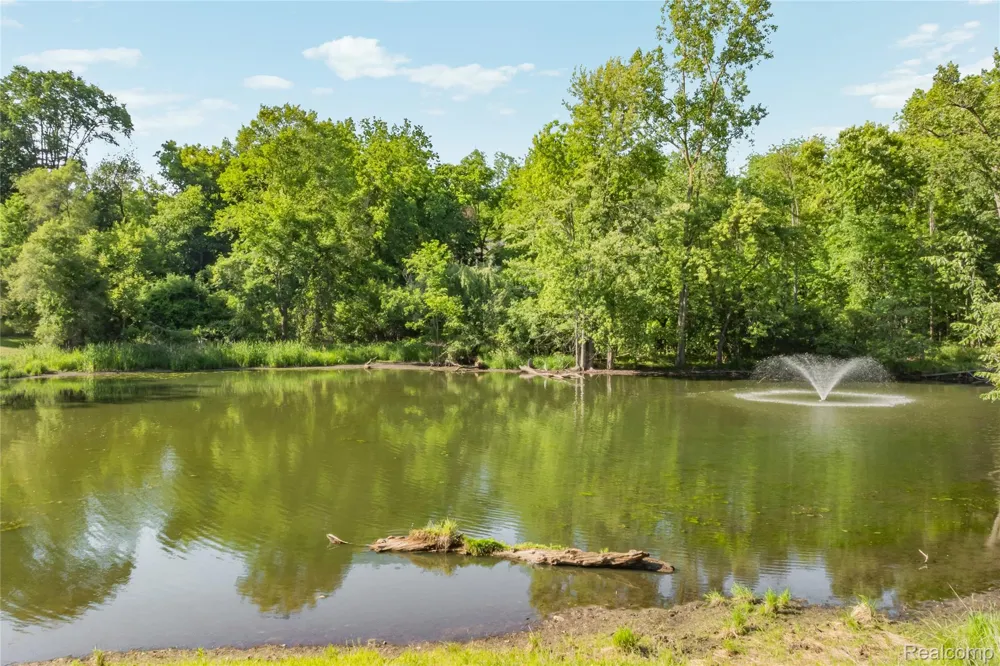 905 Spring Drive Northville Township, MI 48167