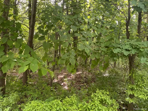 9 Tipsico Lake Road