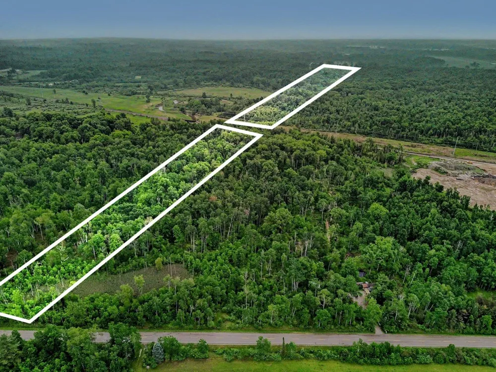 Britt Road Sherman Township, MI 48765