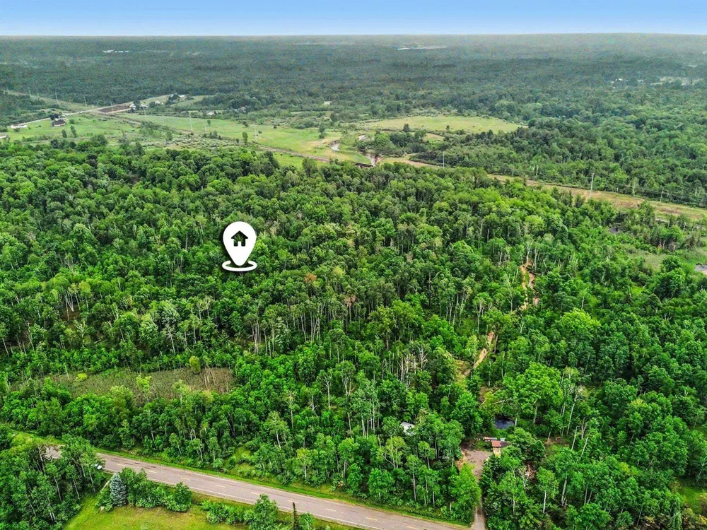 Britt Road Sherman Township, MI 48765