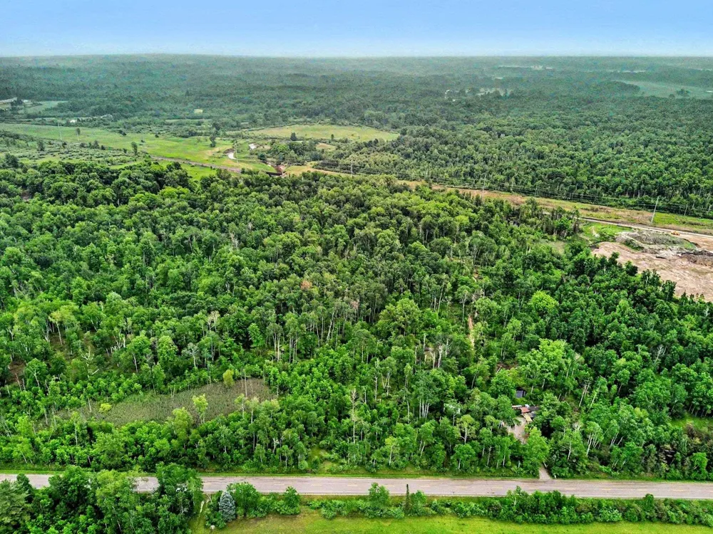 Britt Road Sherman Township, MI 48765