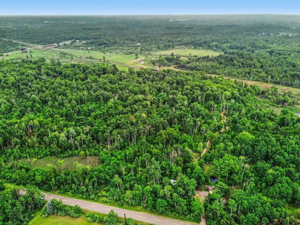Britt Road Sherman Township, MI 48765