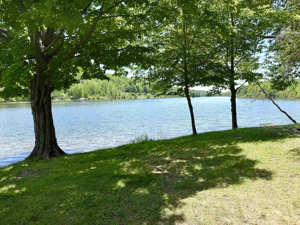 8614 Pete's Landing Banks Township, MI 49729