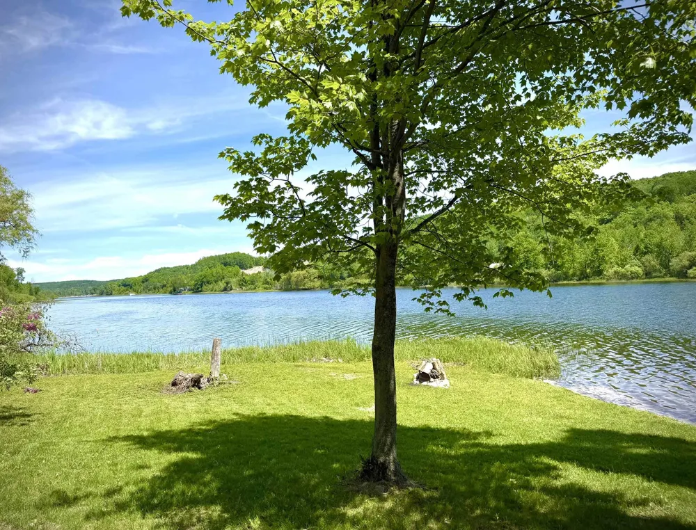 8614 Pete's Landing Banks Township, MI 49729