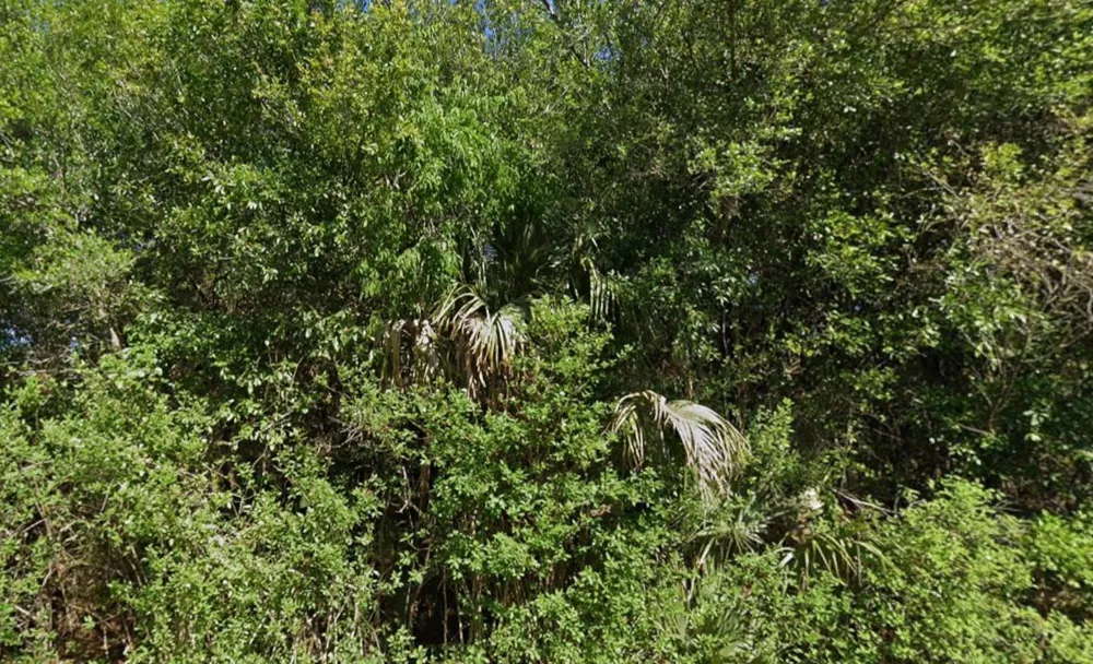 4702 Vera Avenue Lehigh Acres, FL 33971