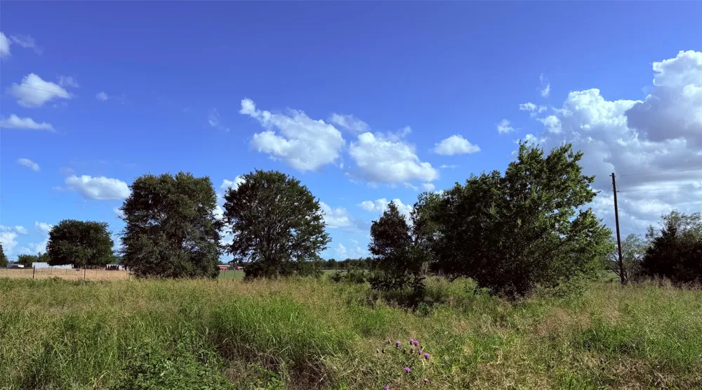 Fm 636 Kerens, TX 75144