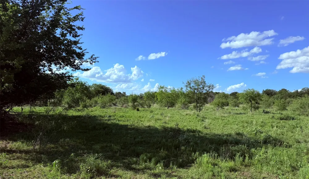 Fm 636 Kerens, TX 75144