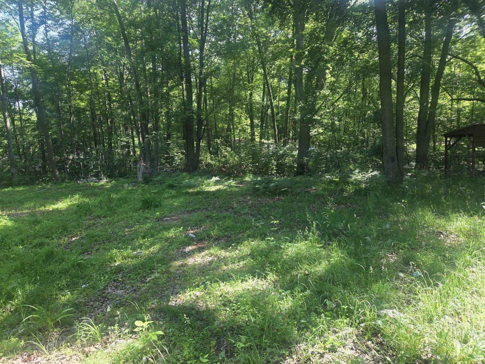 7820 Wilderness Drive Sherman Township, MI 48893