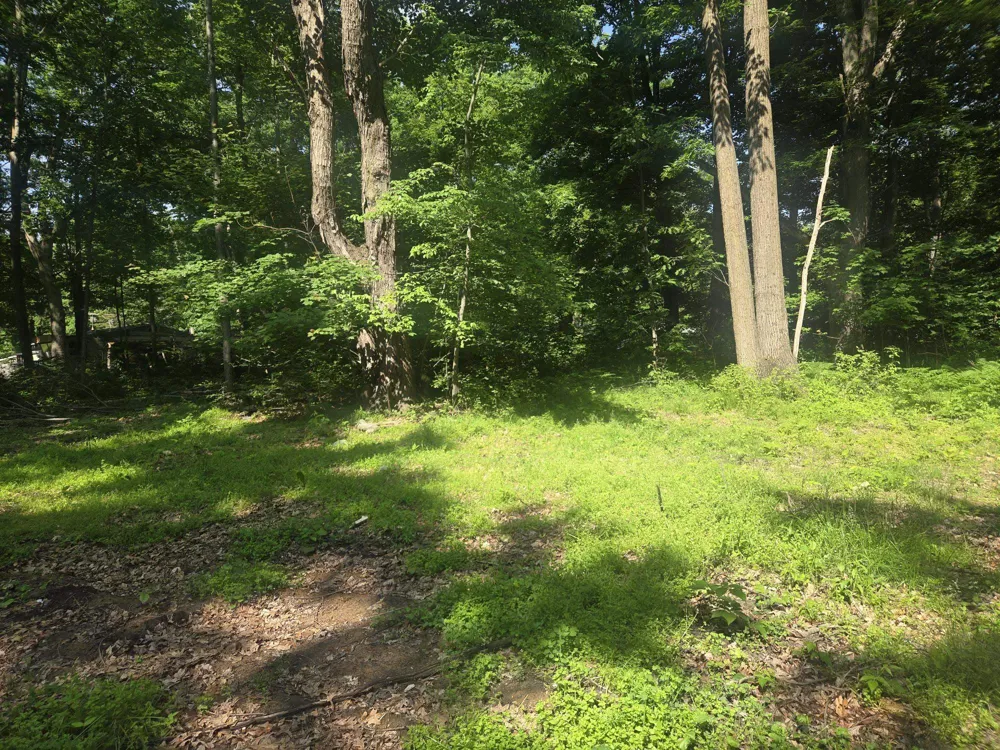 7820 Wilderness Drive Sherman Township, MI 48893