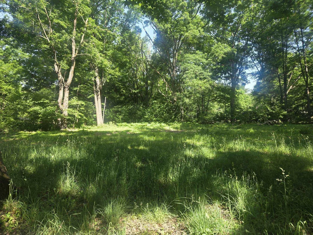 7820 Wilderness Drive Sherman Township, MI 48893