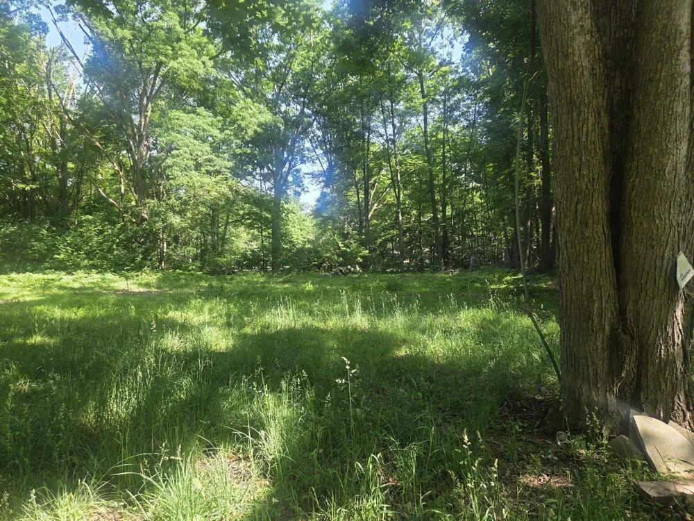 7820 Wilderness Drive Sherman Township, MI 48893