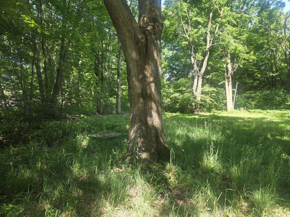 7820 Wilderness Drive Sherman Township, MI 48893
