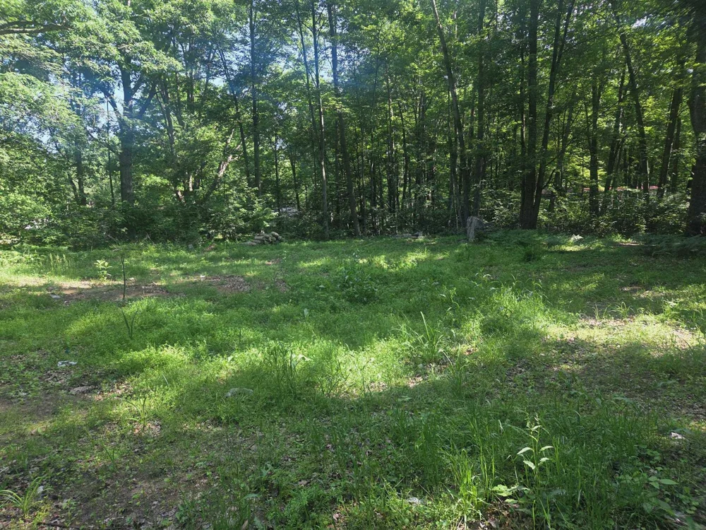 7820 Wilderness Drive Sherman Township, MI 48893