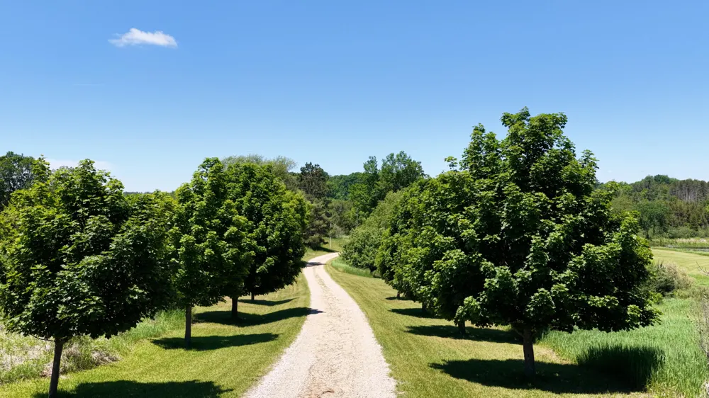 17274 Wilson Road Colfax Township, MI 49307