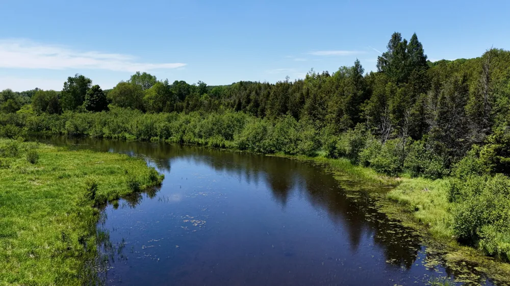 17274 Wilson Road Colfax Township, MI 49307