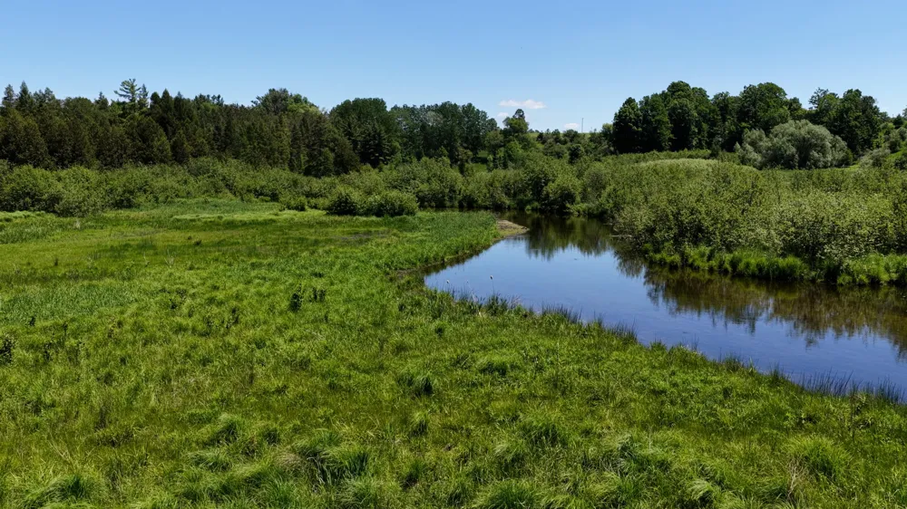17274 Wilson Road Colfax Township, MI 49307